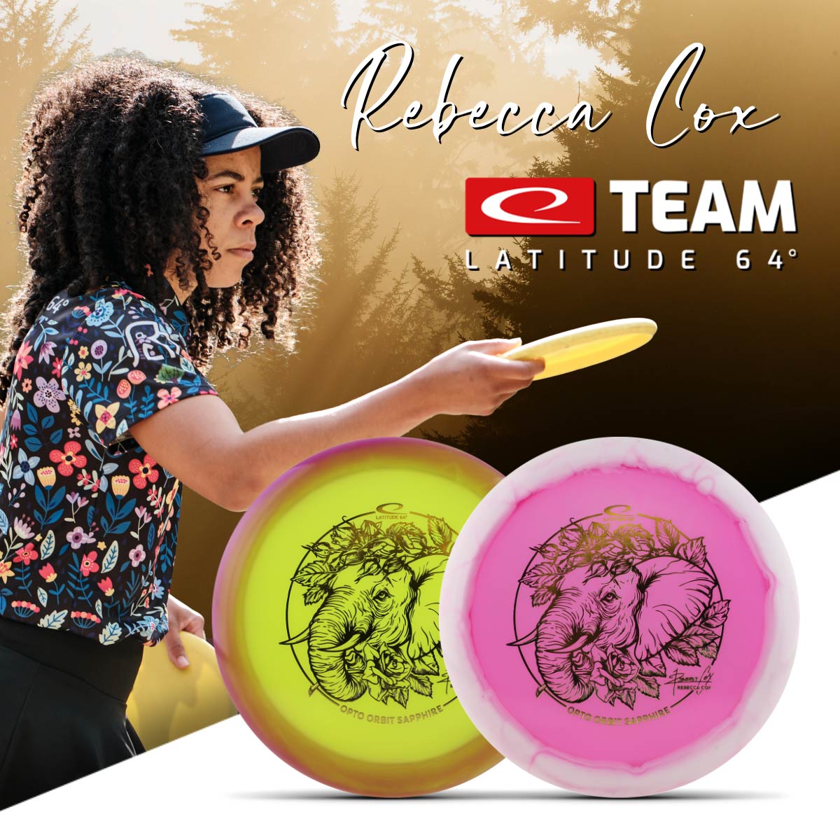 Pro Picks 6-Disc Bundle