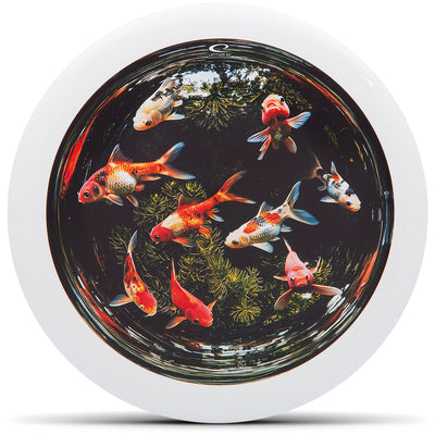 Fish Bowl DecoDye
